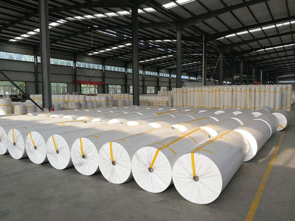 东凤镇狭缝式涤纶纺粘无纺布